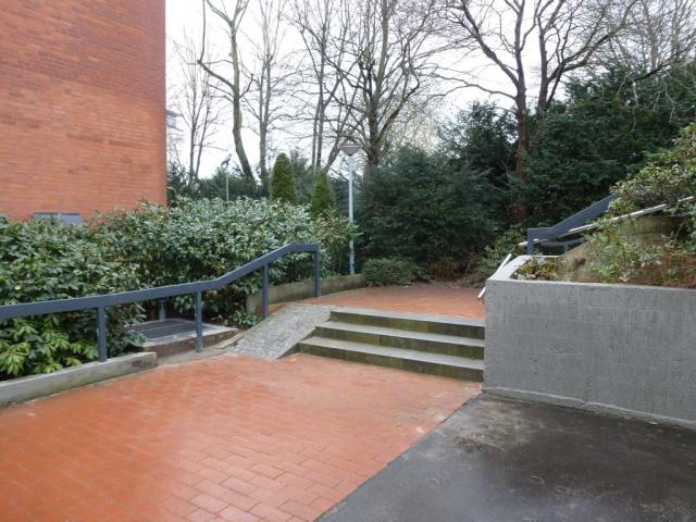 Bild-Thumbnail