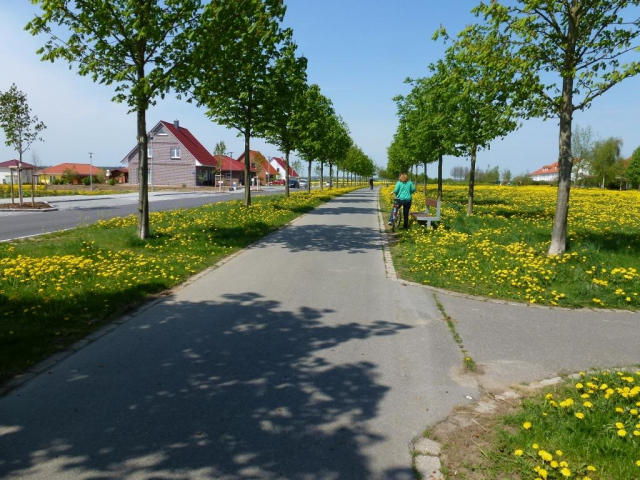 Bild-Thumbnail